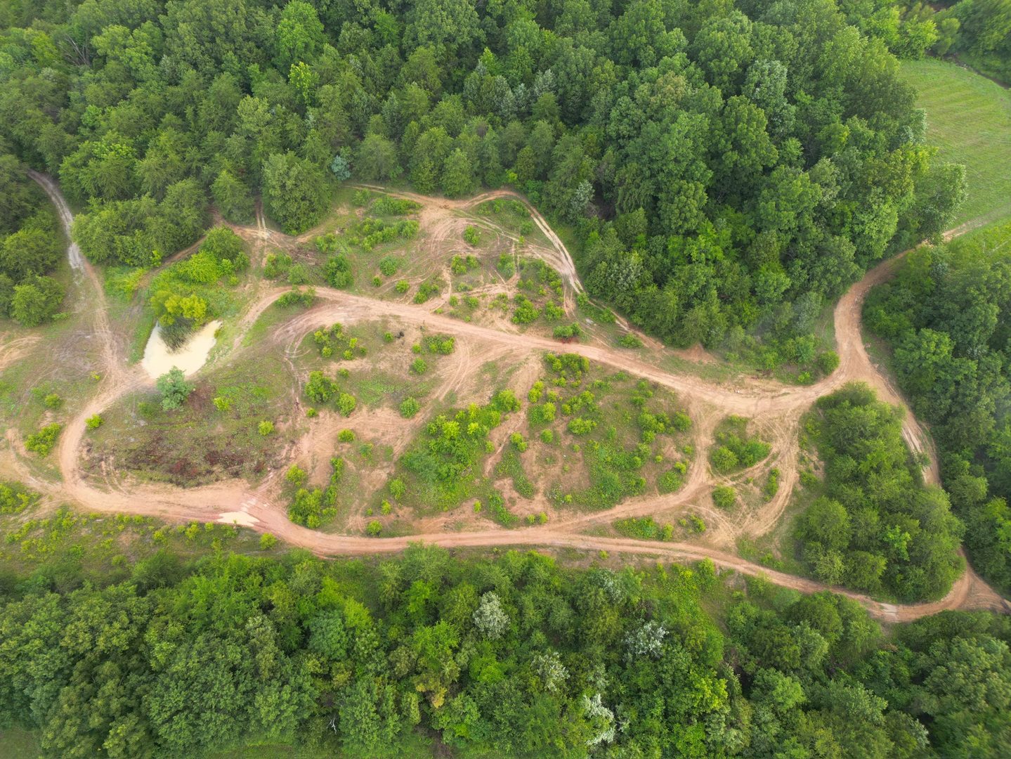 ATV trail winding through the wooded property